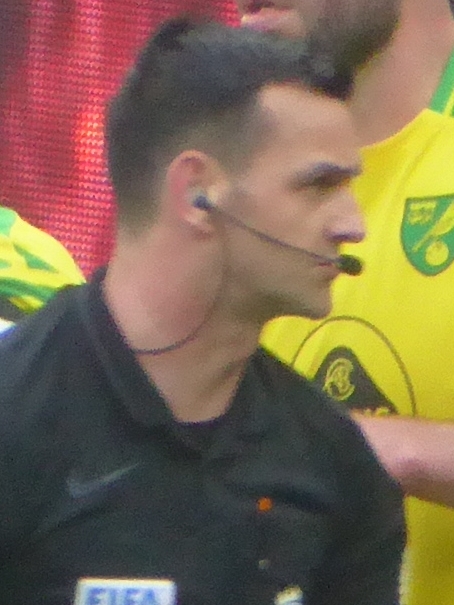 The referee Andy Madley on the pitch