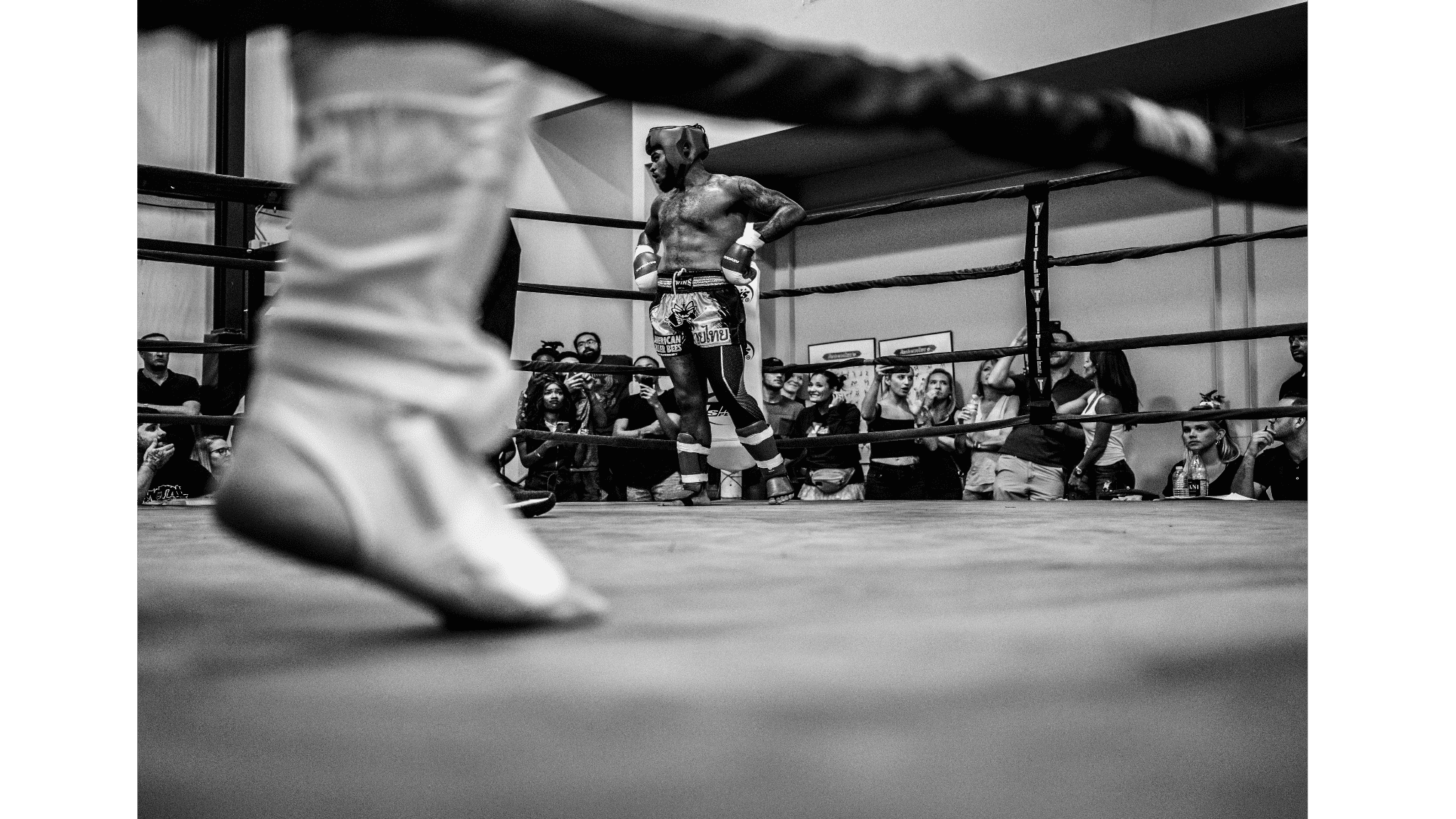 Sheeraz Fights for World Title on Usyk vs. Verhoeven Undercard in Giza - whatchan.co.uk